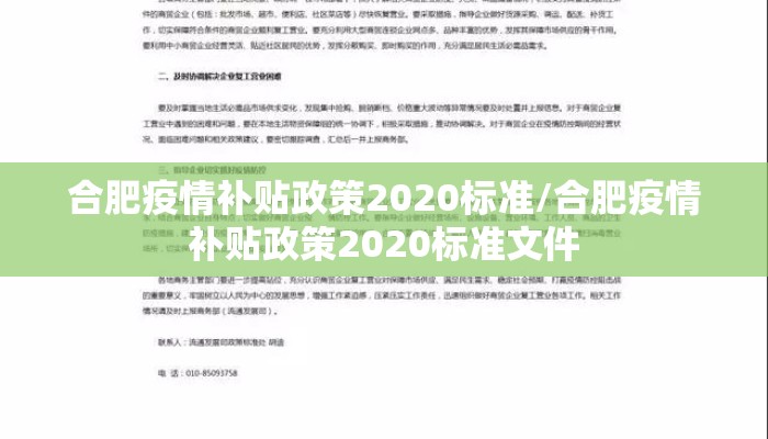 合肥疫情补贴政策2020标准/合肥疫情补贴政策2020标准文件
