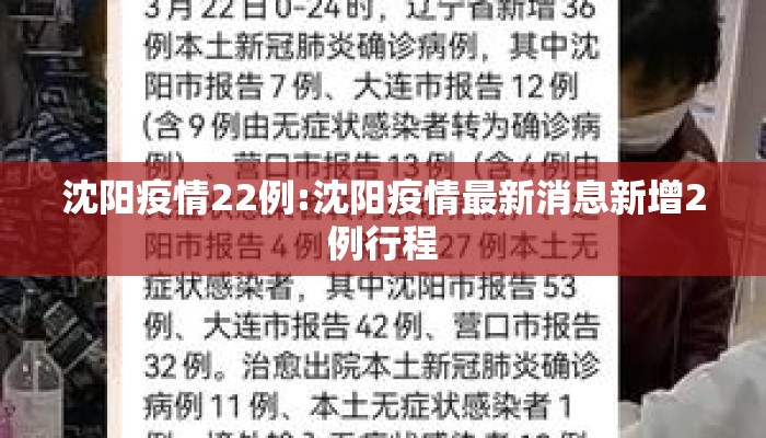 沈阳疫情22例:沈阳疫情最新消息新增2例行程