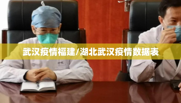 武汉疫情福建/湖北武汉疫情数据表