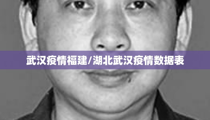 武汉疫情福建/湖北武汉疫情数据表