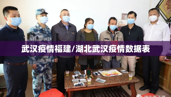 武汉疫情福建/湖北武汉疫情数据表