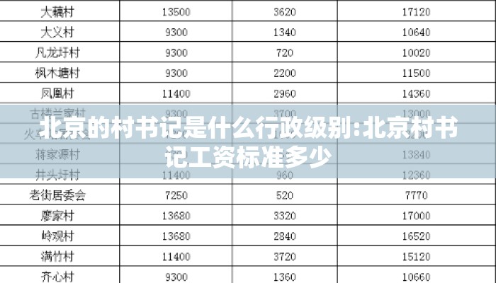 北京的村书记是什么行政级别:北京村书记工资标准多少