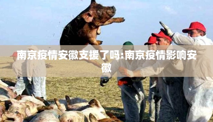 南京疫情安徽支援了吗:南京疫情影响安徽