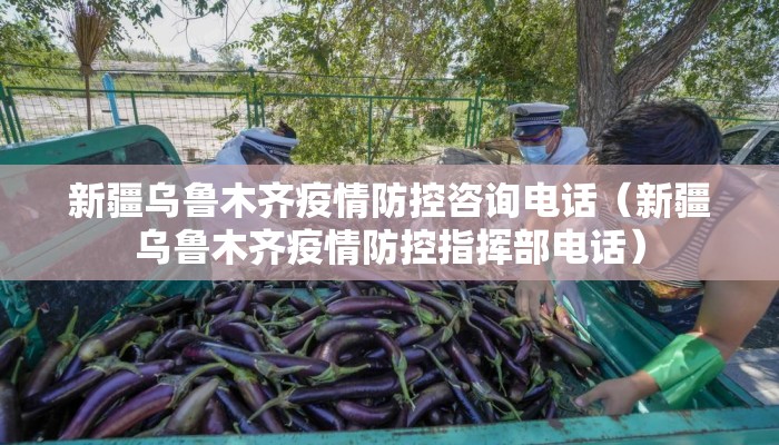 新疆乌鲁木齐疫情防控咨询电话（新疆乌鲁木齐疫情防控指挥部电话）