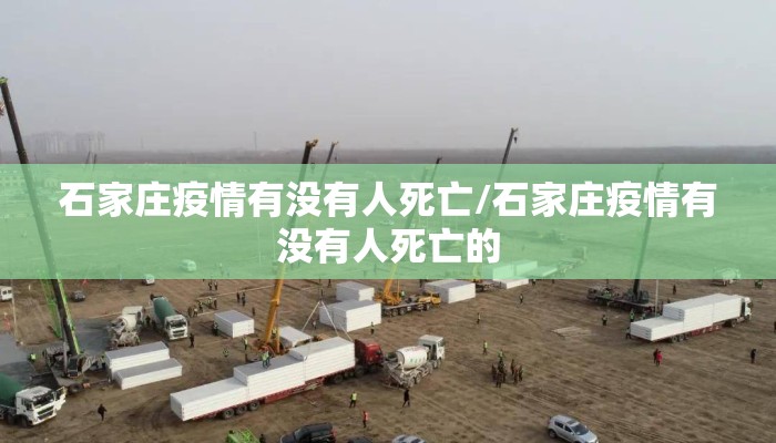 石家庄疫情有没有人死亡/石家庄疫情有没有人死亡的 石家庄疫情有没有人死亡/石家庄疫情有没有人死亡的