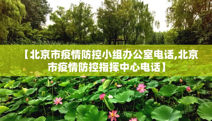 【北京市疫情防控小组办公室电话,北京市疫情防控指挥中心电话】