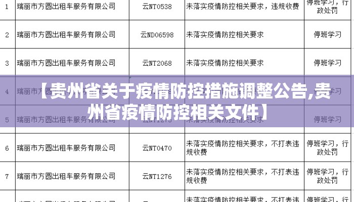 【贵州省关于疫情防控措施调整公告,贵州省疫情防控相关文件】
