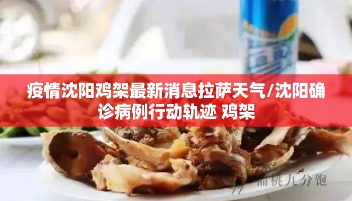 疫情沈阳鸡架最新消息拉萨天气/沈阳确诊病例行动轨迹 鸡架