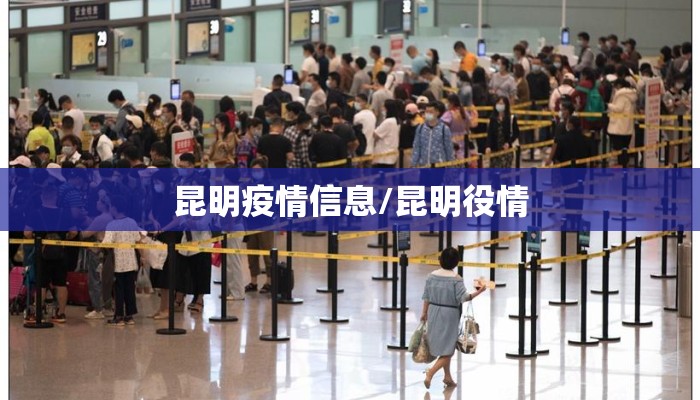 昆明疫情信息/昆明役情