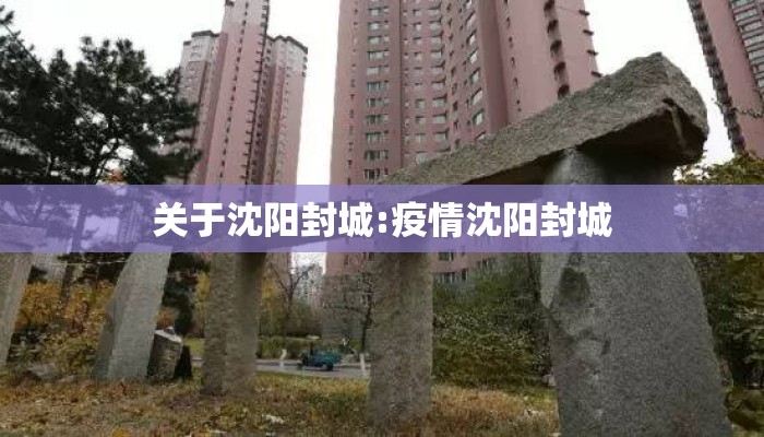 关于沈阳封城:疫情沈阳封城 关于沈阳封城:疫情沈阳封城