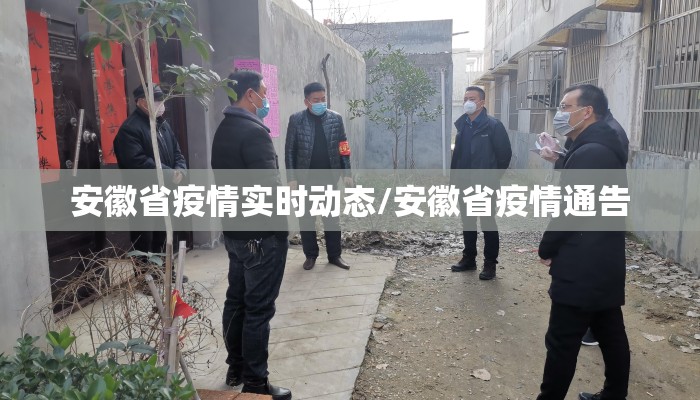 安徽省疫情实时动态/安徽省疫情通告 安徽省疫情实时动态/安徽省疫情通告