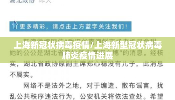 上海新冠状病毒疫情/上海新型冠状病毒肺炎疫情进展 上海新冠状病毒疫情/上海新型冠状病毒肺炎疫情进展