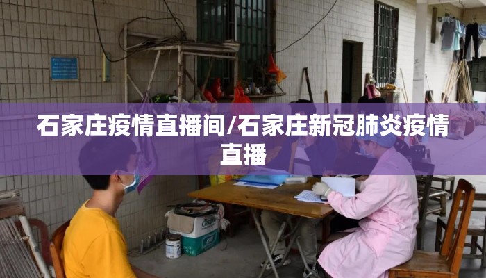 石家庄疫情直播间/石家庄新冠肺炎疫情直播