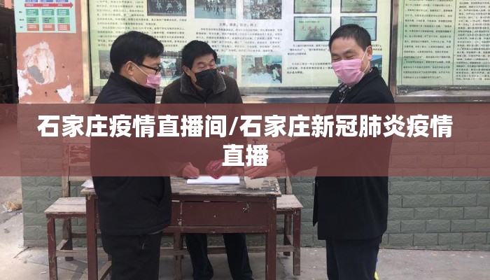 石家庄疫情直播间/石家庄新冠肺炎疫情直播