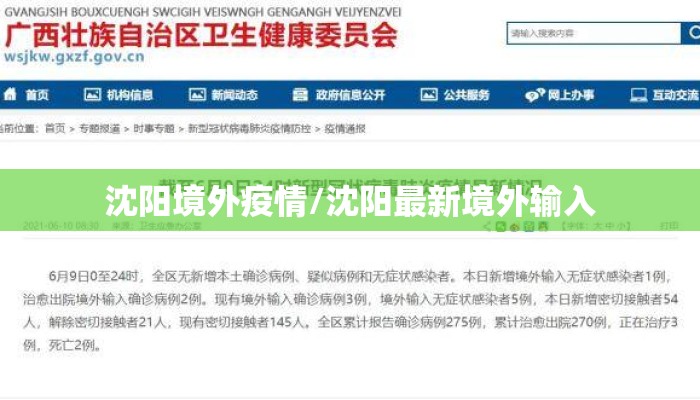 沈阳境外疫情/沈阳最新境外输入