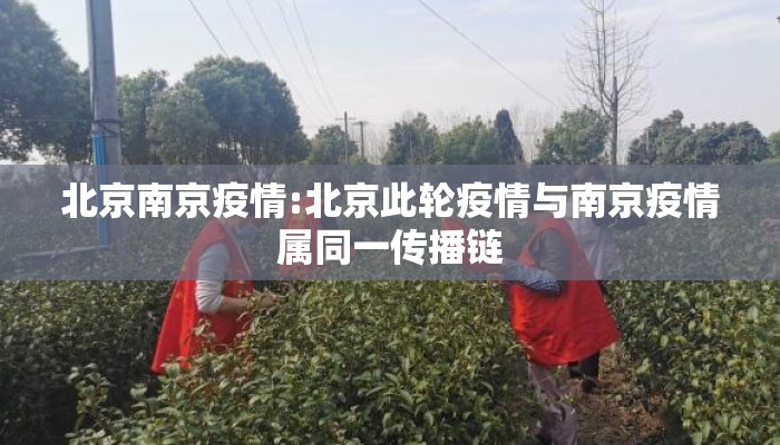 北京南京疫情:北京此轮疫情与南京疫情属同一传播链 北京南京疫情:北京此轮疫情与南京疫情属同一传播链