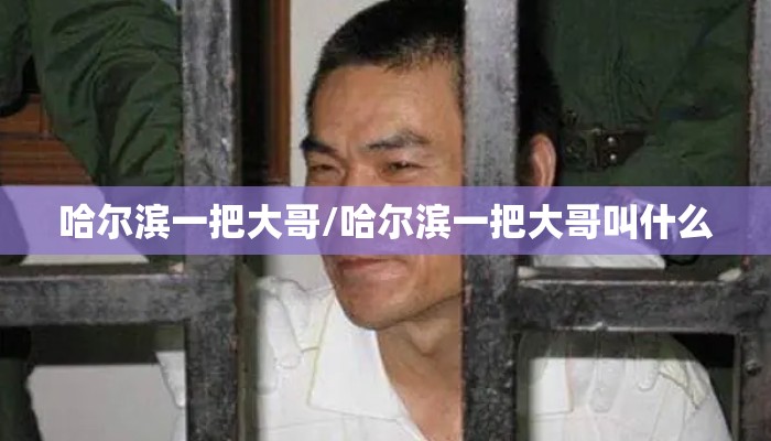 哈尔滨一把大哥/哈尔滨一把大哥叫什么 哈尔滨一把大哥/哈尔滨一把大哥叫什么