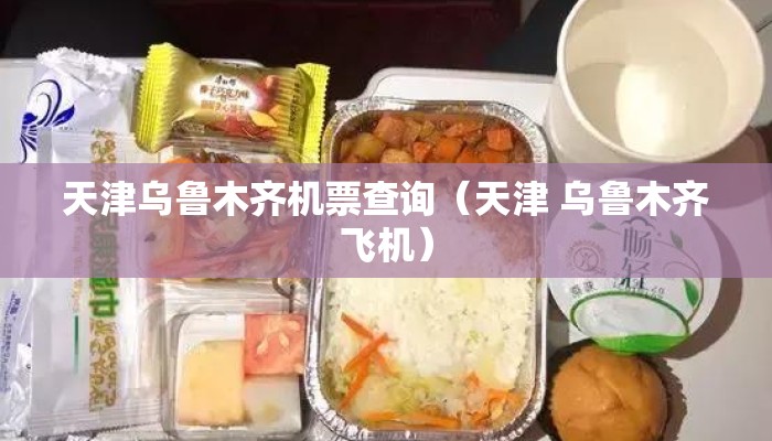 天津乌鲁木齐机票查询（天津 乌鲁木齐飞机）