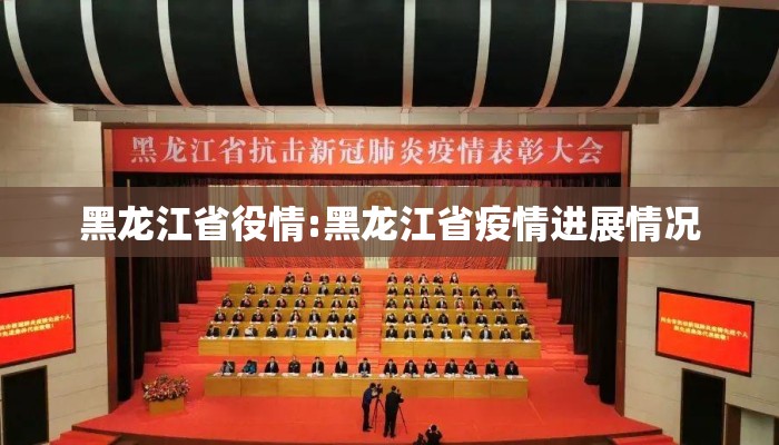 黑龙江省役情:黑龙江省疫情进展情况