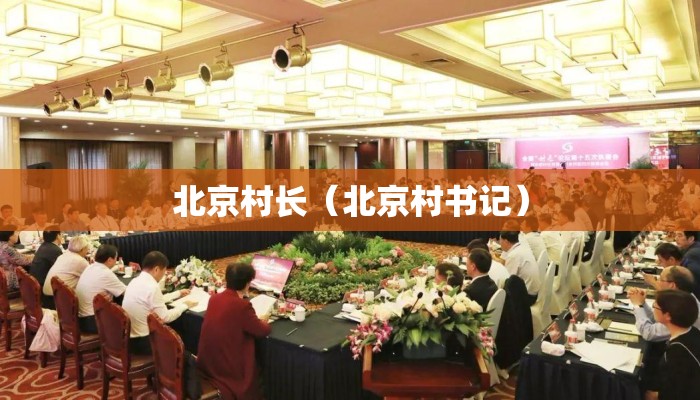 北京村长(北京村书记) 北京村长(北京村书记)