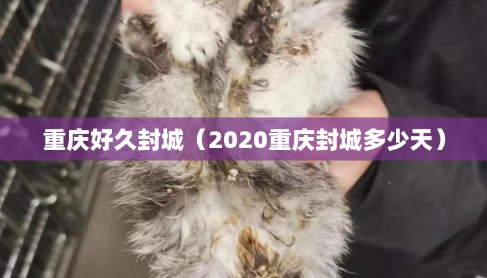 重庆好久封城(2020重庆封城多少天) 重庆好久封城(2020重庆封城多少天)