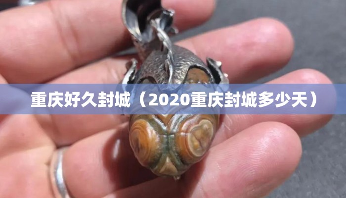 重庆好久封城(2020重庆封城多少天) 重庆好久封城(2020重庆封城多少天)