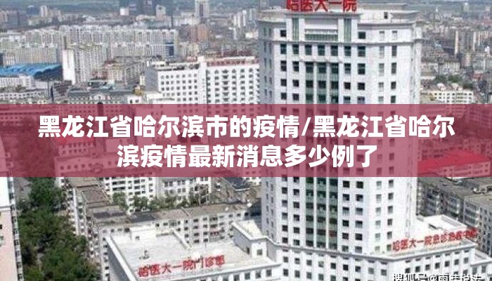 黑龙江省哈尔滨市的疫情/黑龙江省哈尔滨疫情最新消息多少例了 黑龙江省哈尔滨市的疫情/黑龙江省哈尔滨疫情最新消息多少例了