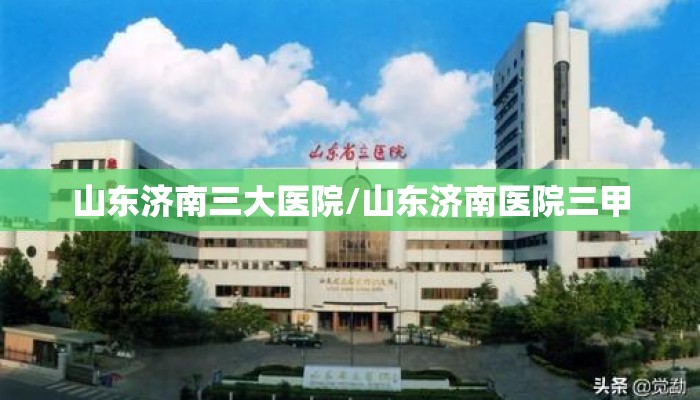 山东济南三大医院/山东济南医院三甲 山东济南三大医院/山东济南医院三甲