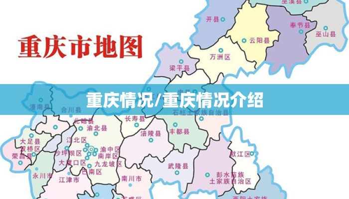 重庆情况/重庆情况介绍