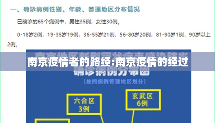 南京疫情者的路经:南京疫情的经过 南京疫情者的路经:南京疫情的经过