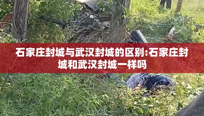 石家庄封城与武汉封城的区别:石家庄封城和武汉封城一样吗 石家庄封城与武汉封城的区别:石家庄封城和武汉封城一样吗