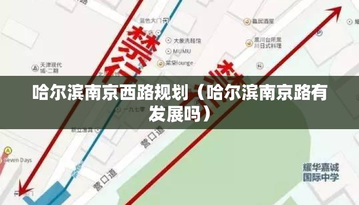 哈尔滨南京西路规划（哈尔滨南京路有发展吗）