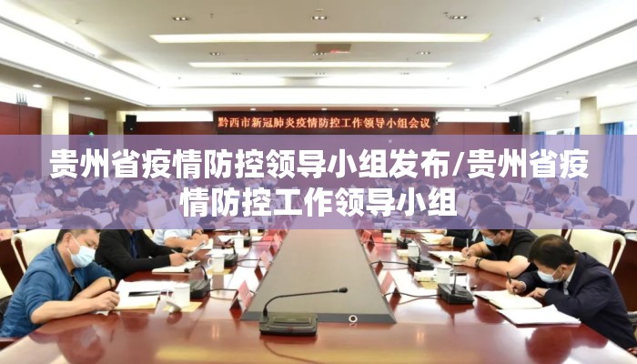 贵州省疫情防控领导小组发布/贵州省疫情防控工作领导小组