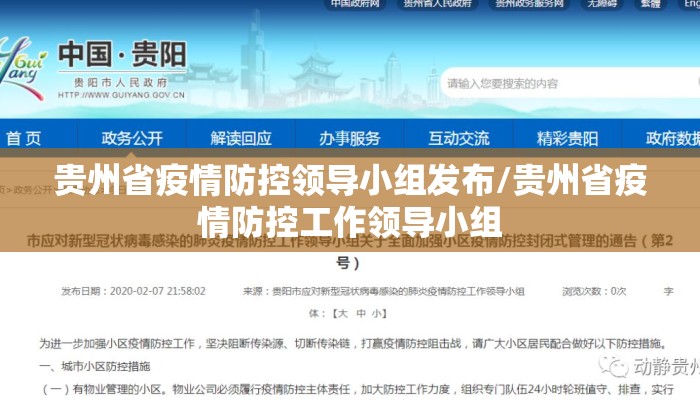 贵州省疫情防控领导小组发布/贵州省疫情防控工作领导小组