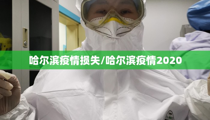 哈尔滨疫情损失/哈尔滨疫情2020