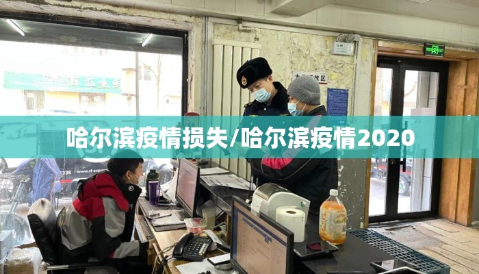 哈尔滨疫情损失/哈尔滨疫情2020