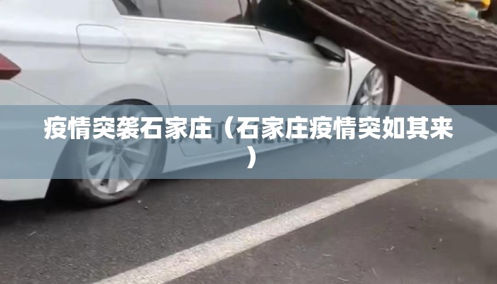 疫情突袭石家庄(石家庄疫情突如其来) 疫情突袭石家庄(石家庄疫情突如其来)