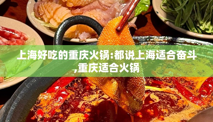 上海好吃的重庆火锅:都说上海适合奋斗,重庆适合火锅