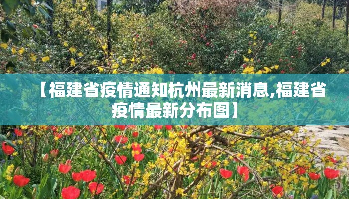 【福建省疫情通知杭州最新消息,福建省疫情最新分布图】