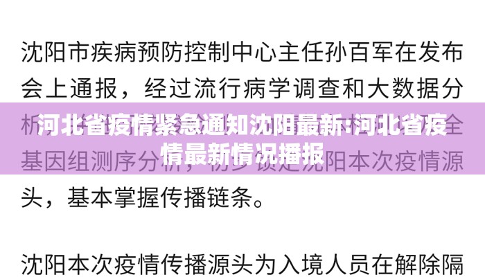 河北省疫情紧急通知沈阳最新:河北省疫情最新情况播报