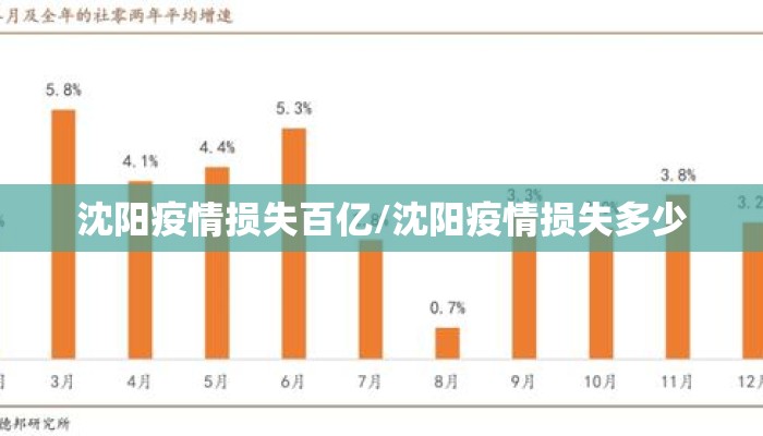 沈阳疫情损失百亿/沈阳疫情损失多少