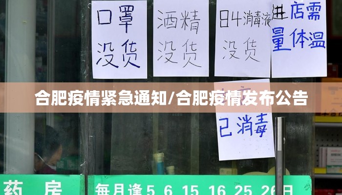 合肥疫情紧急通知/合肥疫情发布公告