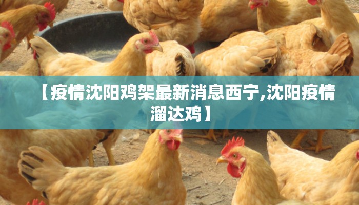 【疫情沈阳鸡架最新消息西宁,沈阳疫情溜达鸡】