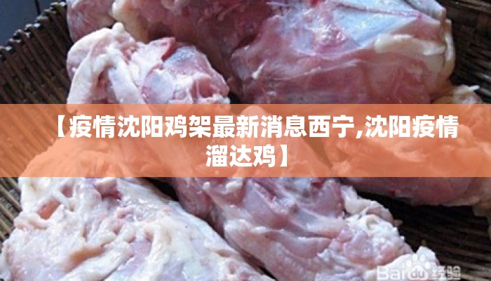 【疫情沈阳鸡架最新消息西宁,沈阳疫情溜达鸡】