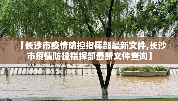【长沙市疫情防控指挥部最新文件,长沙市疫情防控指挥部最新文件查询】