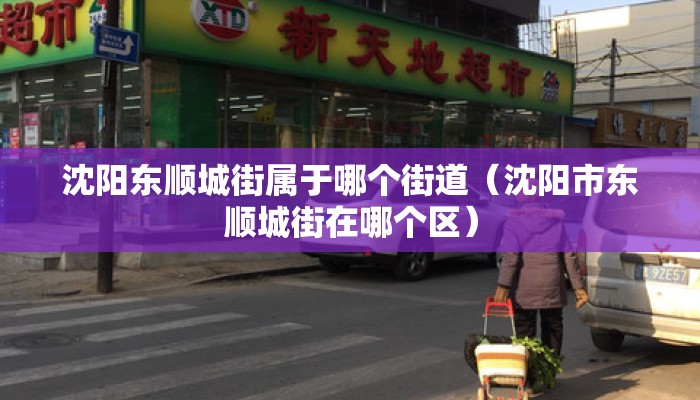 沈阳东顺城街属于哪个街道（沈阳市东顺城街在哪个区）