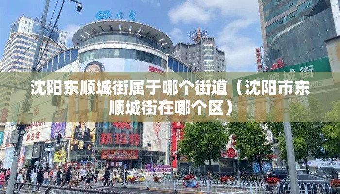 沈阳东顺城街属于哪个街道（沈阳市东顺城街在哪个区）