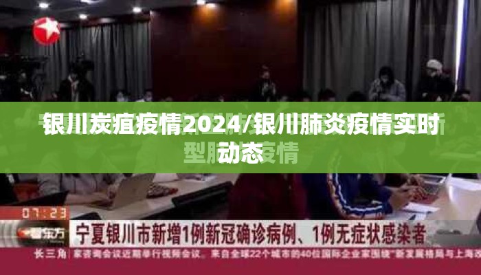 银川炭疽疫情2024/银川肺炎疫情实时动态