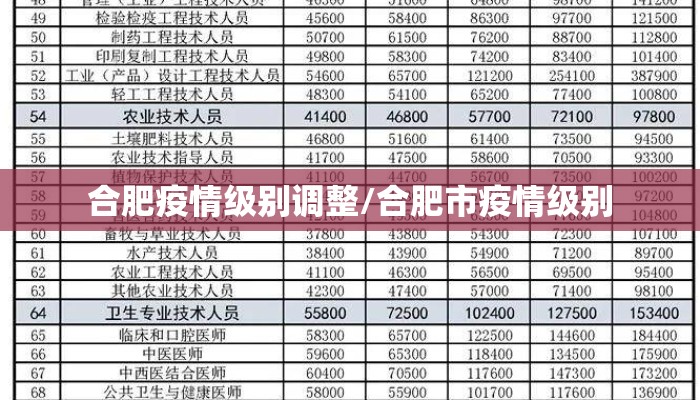 合肥疫情级别调整/合肥市疫情级别