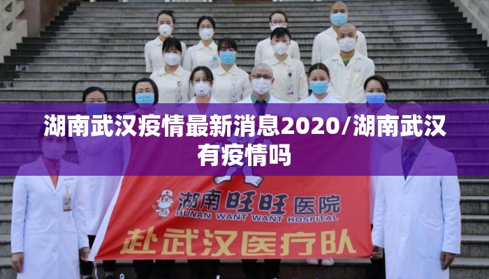 湖南武汉疫情最新消息2020/湖南武汉有疫情吗